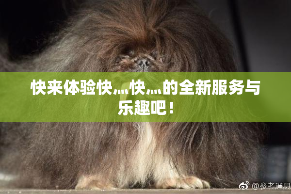 快来体验快灬快灬的全新服务与乐趣吧！