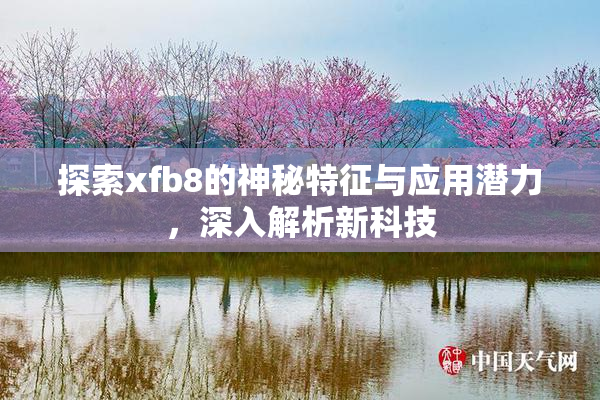 探索xfb8的神秘特征与应用潜力，深入解析新科技