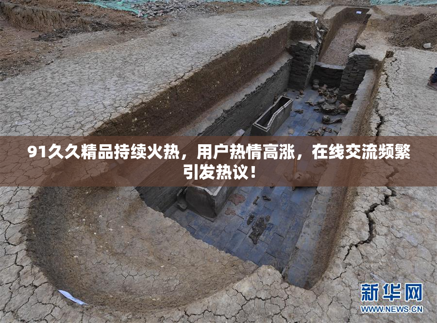 91久久精品持续火热，用户热情高涨，在线交流频繁引发热议！
