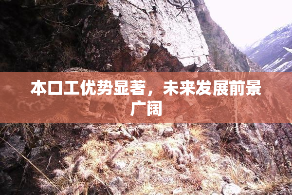 本口工优势显著，未来发展前景广阔