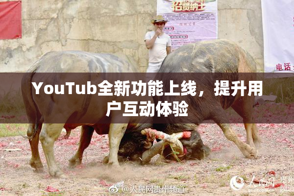 YouTub全新功能上线，提升用户互动体验