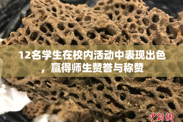 12名学生在校内活动中表现出色，赢得师生赞誉与称赞