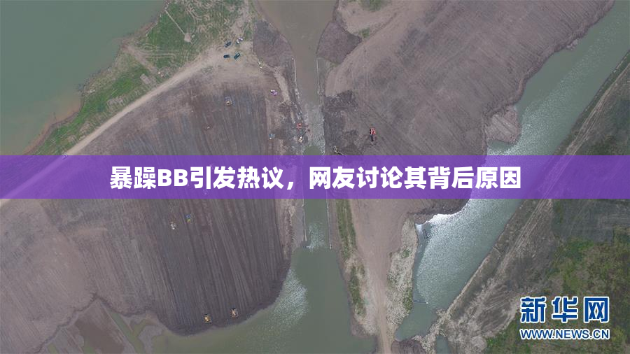 暴躁BB引发热议，网友讨论其背后原因