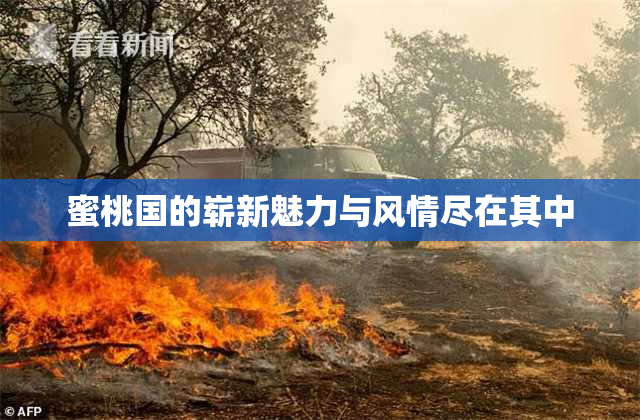 蜜桃国的崭新魅力与风情尽在其中