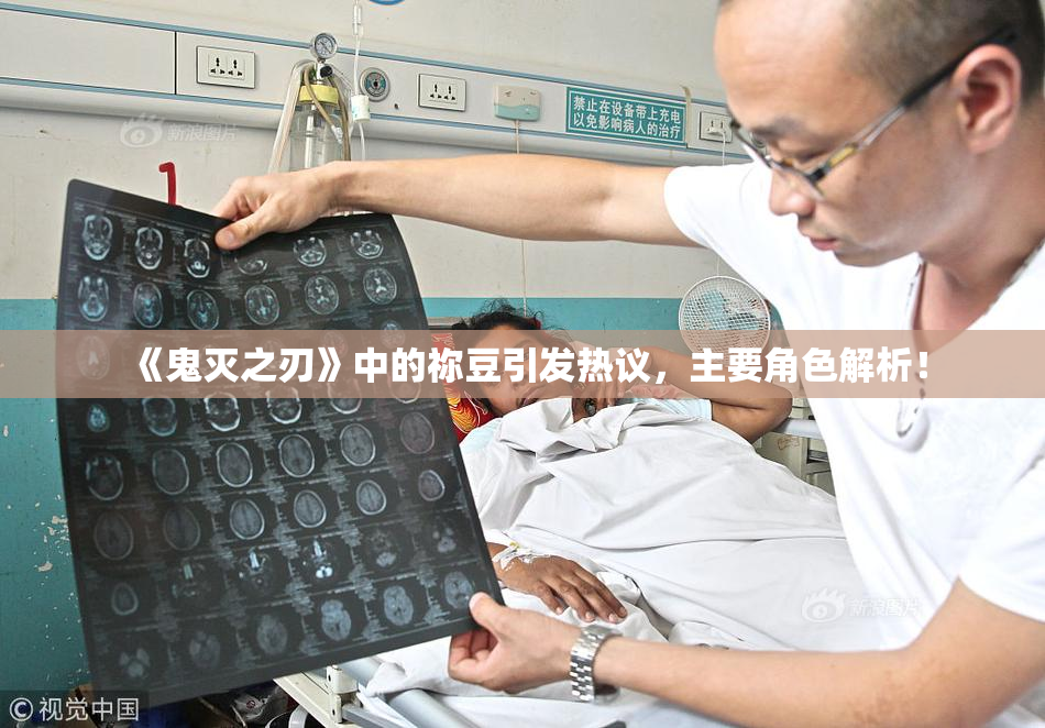 《鬼灭之刃》中的祢豆引发热议，主要角色解析！