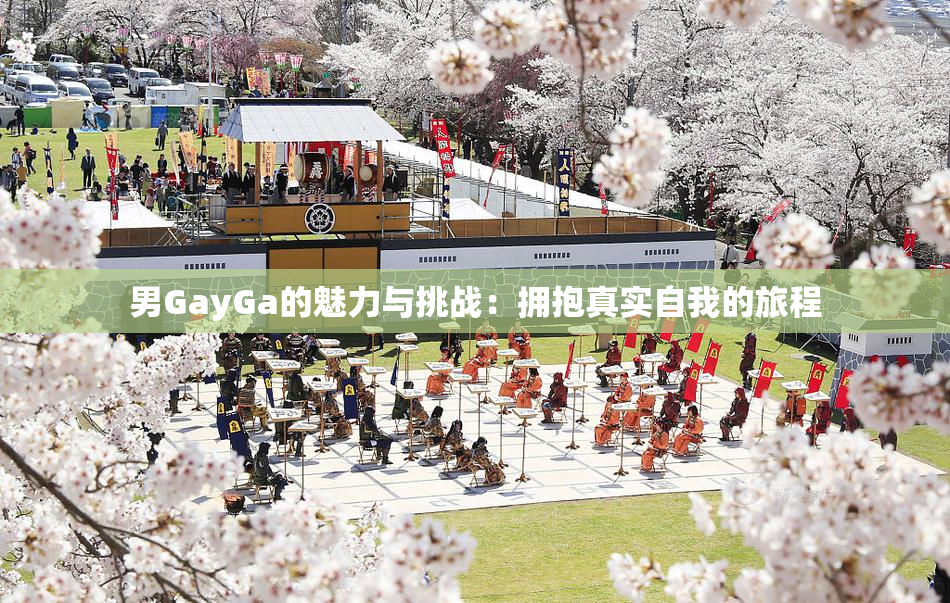 男GayGa的魅力与挑战：拥抱真实自我的旅程