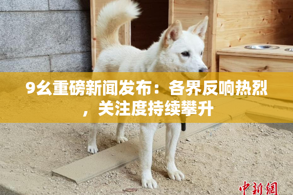 9幺重磅新闻发布：各界反响热烈，关注度持续攀升