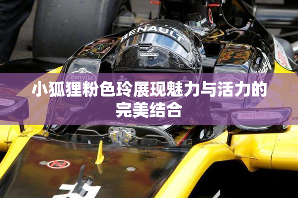小狐狸粉色玲展现魅力与活力的完美结合