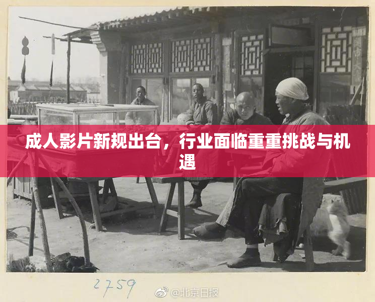 成人影片新规出台，行业面临重重挑战与机遇