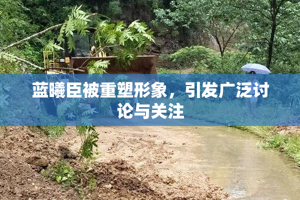 蓝曦臣被重塑形象，引发广泛讨论与关注