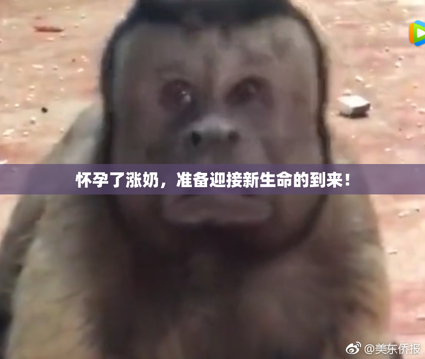 怀孕了涨奶，准备迎接新生命的到来！