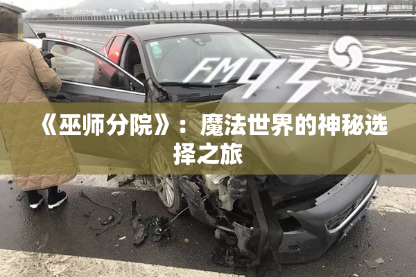 《巫师分院》：魔法世界的神秘选择之旅