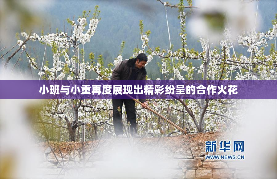 小班与小重再度展现出精彩纷呈的合作火花
