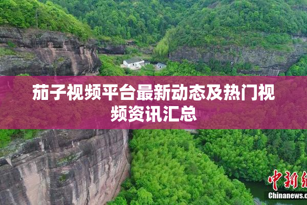 茄子视频平台最新动态及热门视频资讯汇总