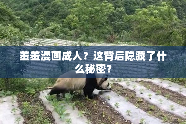 羞羞漫画成人？这背后隐藏了什么秘密？