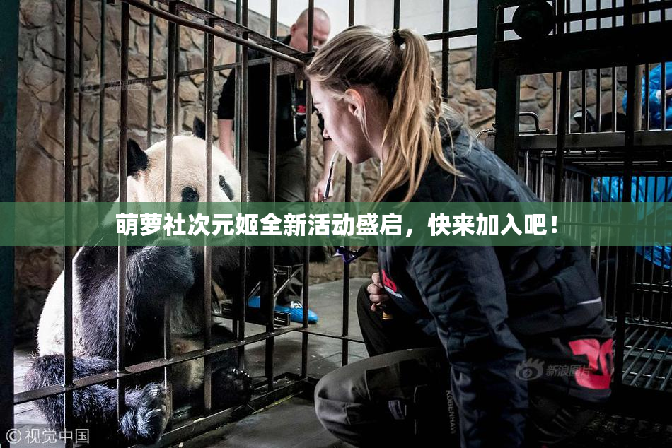 萌萝社次元姬全新活动盛启，快来加入吧！