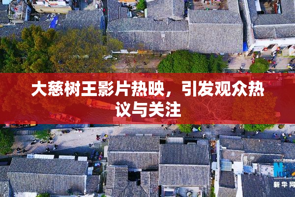 大慈树王影片热映，引发观众热议与关注