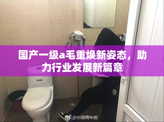 国产一级a毛重焕新姿态，助力行业发展新篇章