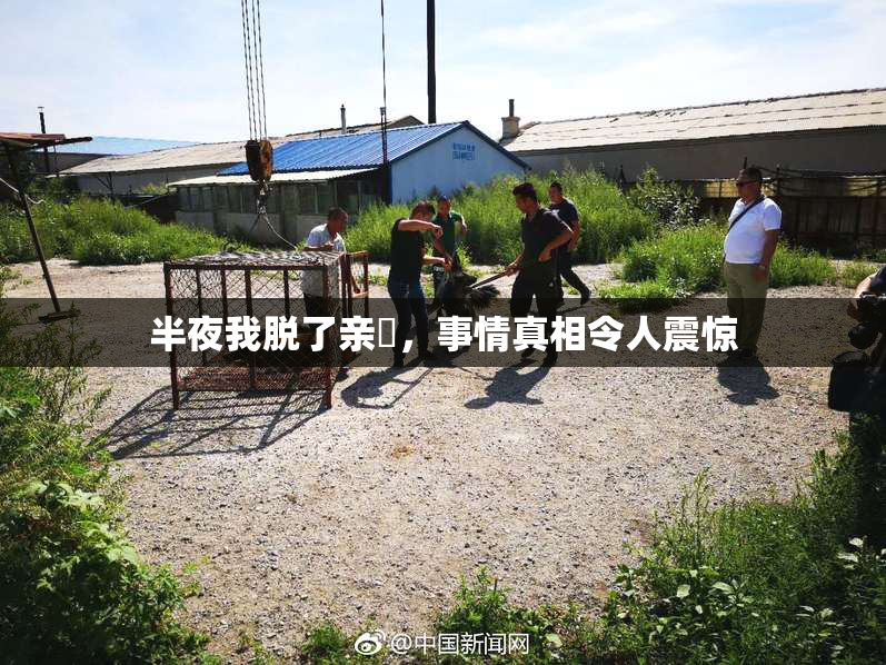 半夜我脱了亲妺，事情真相令人震惊