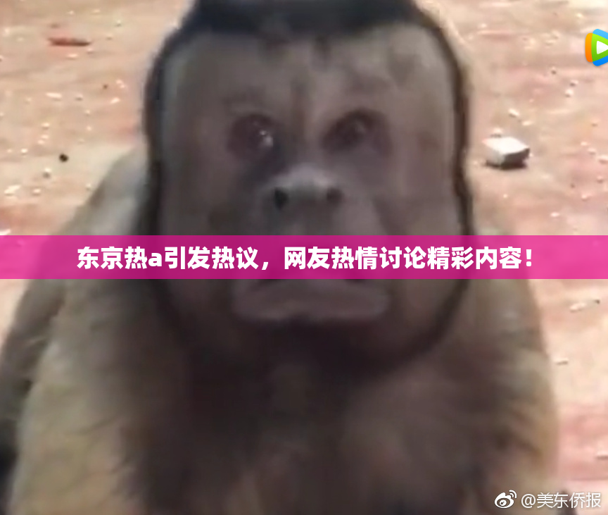 东京热a引发热议，网友热情讨论精彩内容！