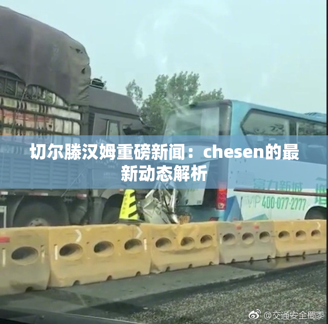 切尔滕汉姆重磅新闻：chesen的最新动态解析