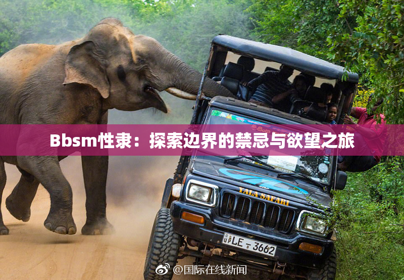 Bbsm性隶：探索边界的禁忌与欲望之旅
