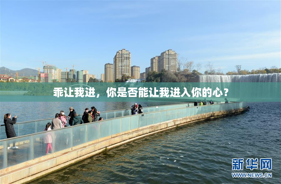 乖让我进，你是否能让我进入你的心？