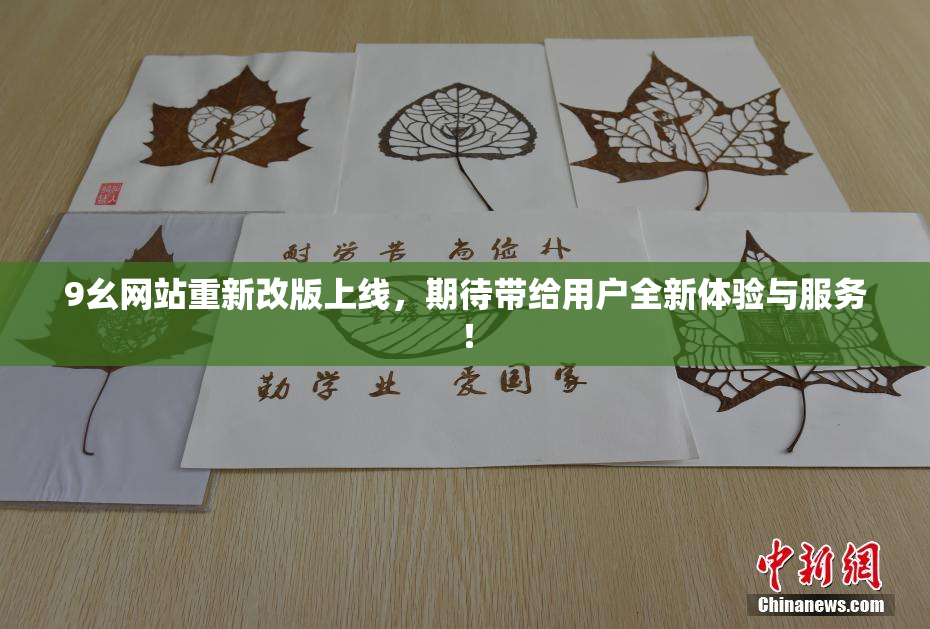9幺网站重新改版上线，期待带给用户全新体验与服务！