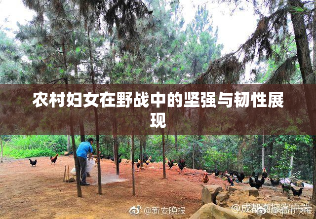 农村妇女在野战中的坚强与韧性展现