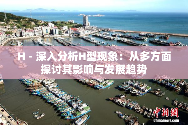 H - 深入分析H型现象：从多方面探讨其影响与发展趋势