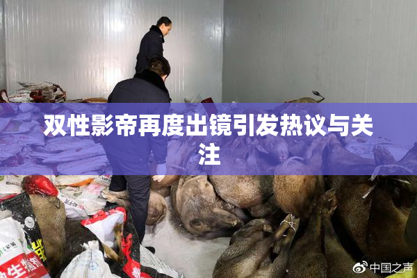 双性影帝再度出镜引发热议与关注