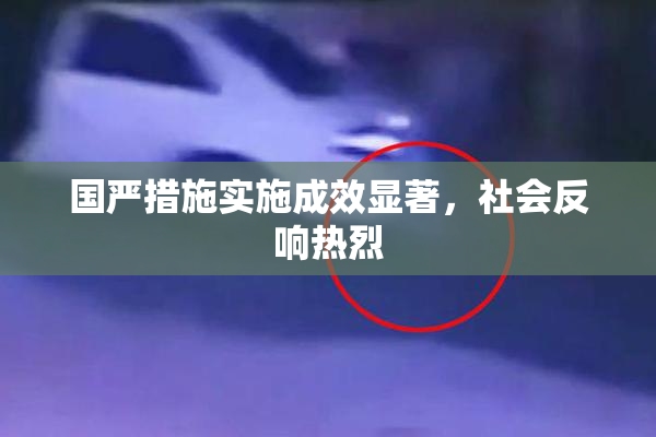 国严措施实施成效显著，社会反响热烈