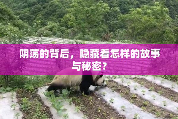 阴荡的背后，隐藏着怎样的故事与秘密？