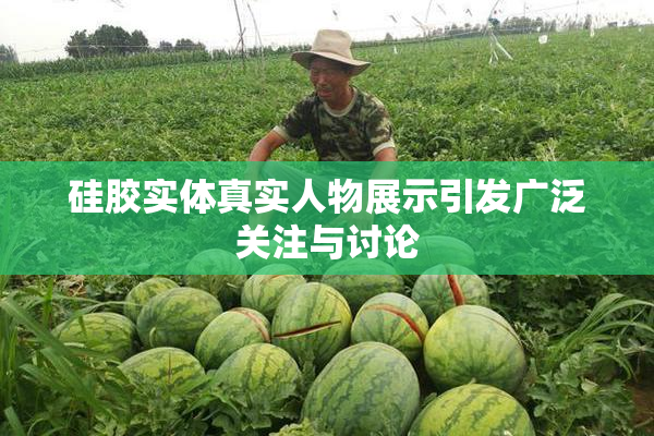 硅胶实体真实人物展示引发广泛关注与讨论