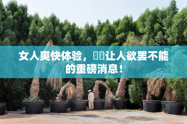 女人爽快体验，❌‌让人欲罢不能的重磅消息！