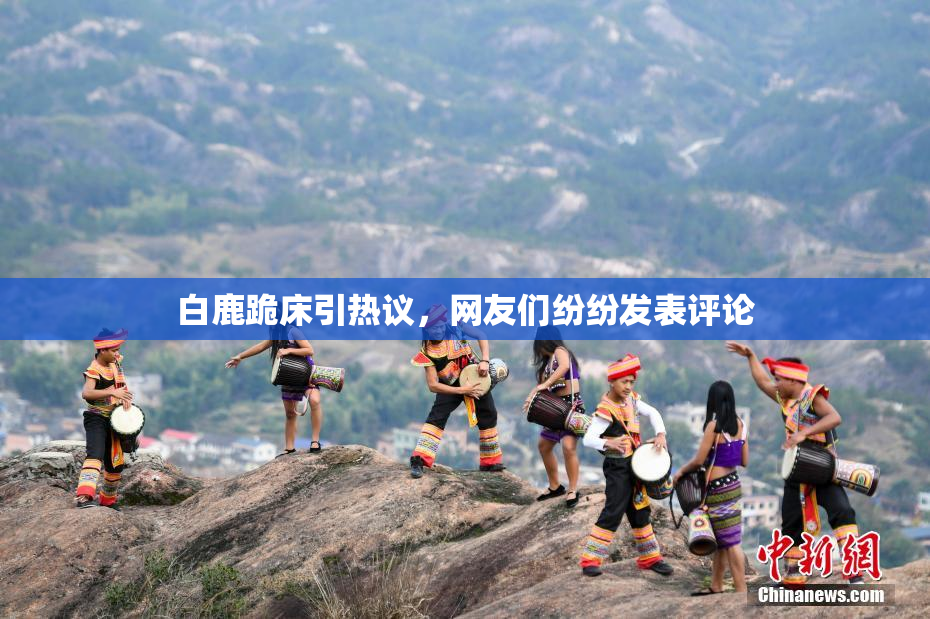 白鹿跪床引热议，网友们纷纷发表评论