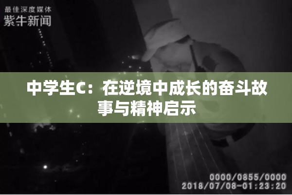 中学生C：在逆境中成长的奋斗故事与精神启示