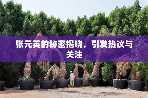 张元英的秘密揭晓，引发热议与关注