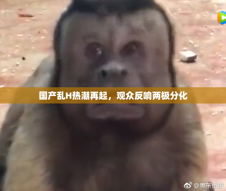 国产乱H热潮再起，观众反响两极分化