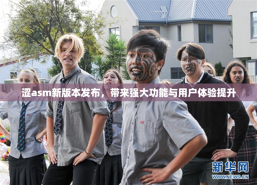 涩asm新版本发布，带来强大功能与用户体验提升