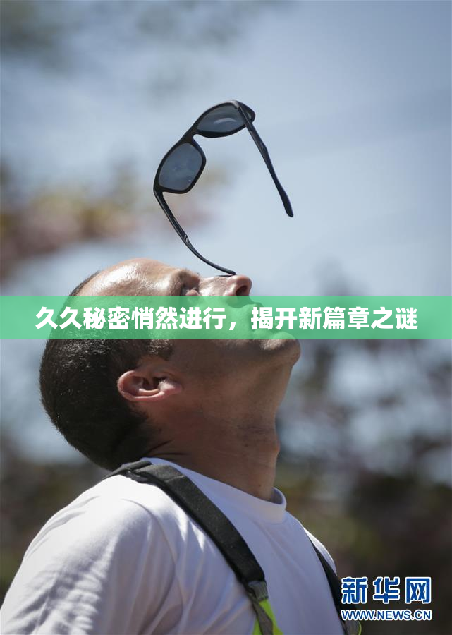久久秘密悄然进行，揭开新篇章之谜