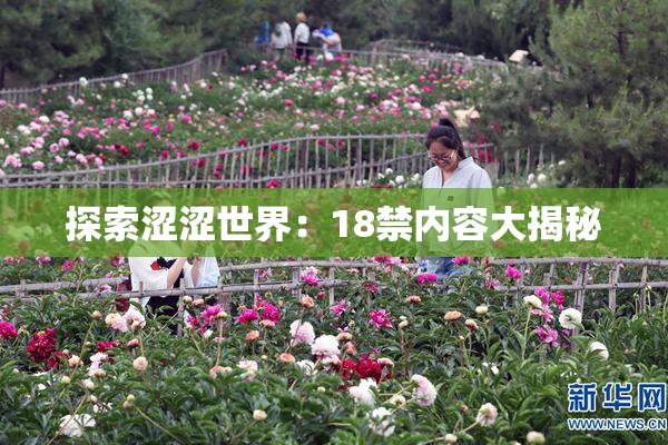 探索涩涩世界：18禁内容大揭秘