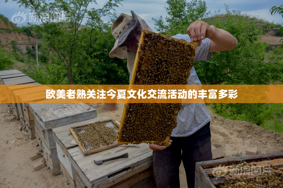 欧美老熟关注今夏文化交流活动的丰富多彩
