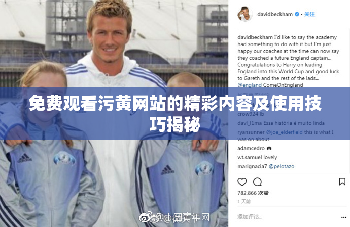 免费观看污黄网站的精彩内容及使用技巧揭秘