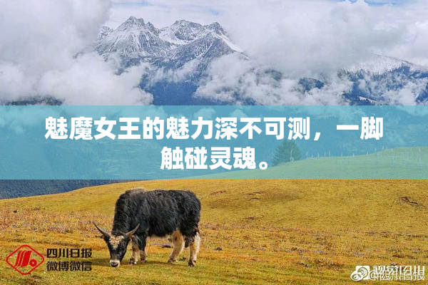 魅魔女王的魅力深不可测，一脚触碰灵魂。
