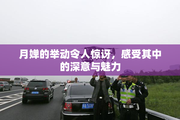 月婵的举动令人惊讶，感受其中的深意与魅力