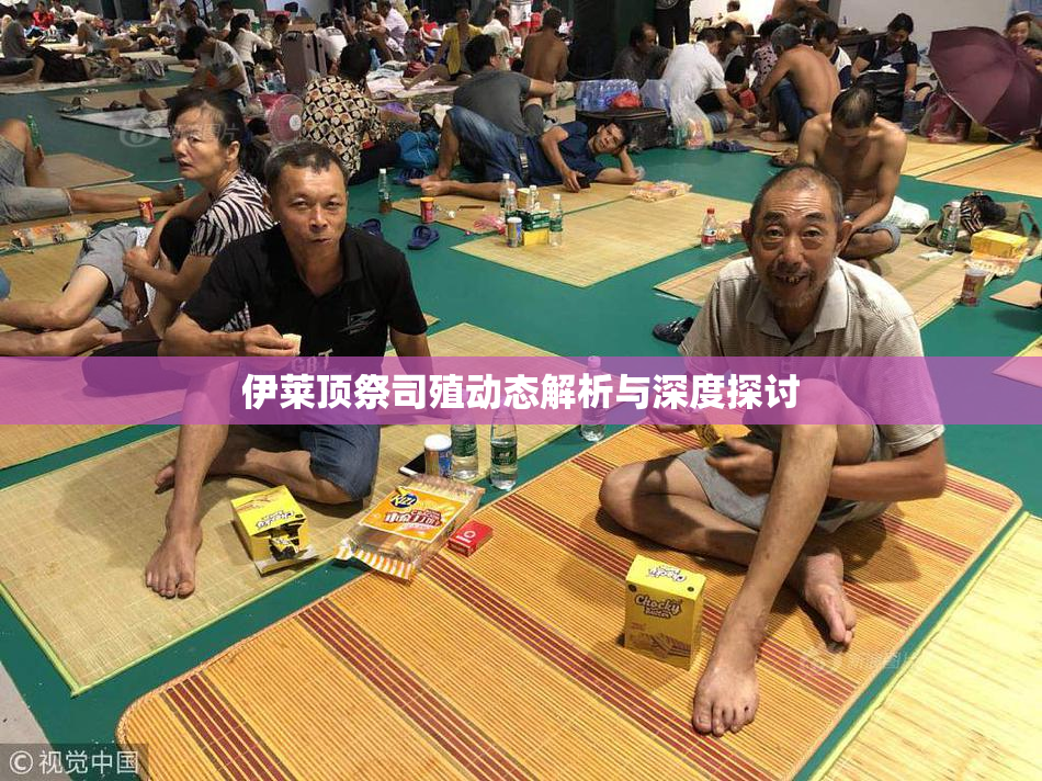 伊莱顶祭司殖动态解析与深度探讨