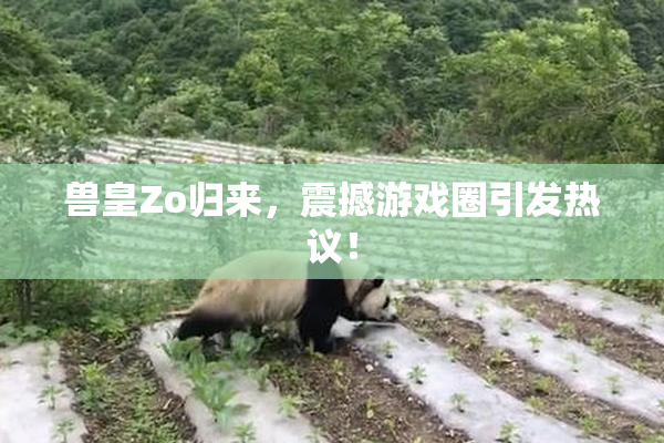 兽皇Zo归来，震撼游戏圈引发热议！