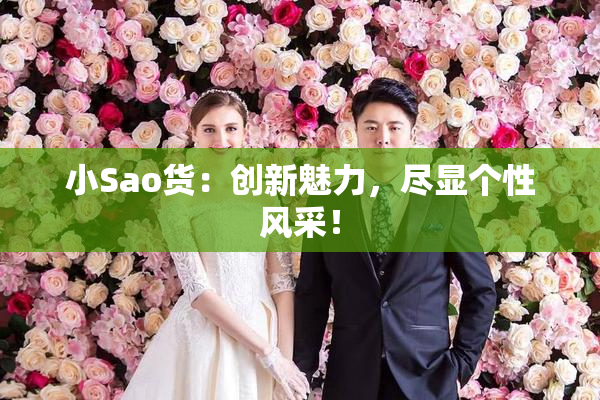 小Sao货：创新魅力，尽显个性风采！