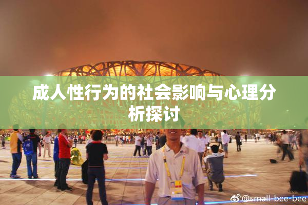 成人性行为的社会影响与心理分析探讨